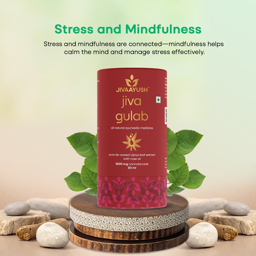 Stress and Mindfulness