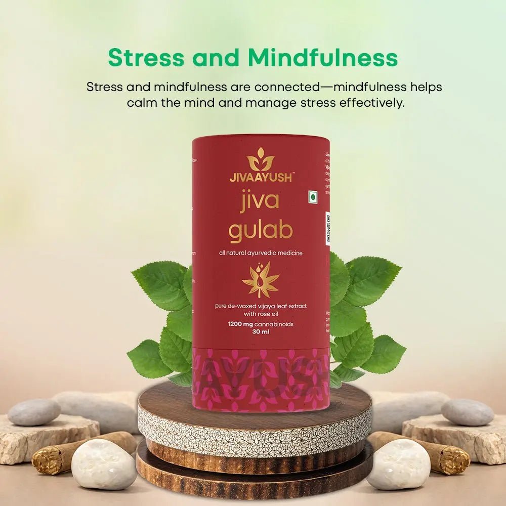 Stress and Mindfulness
